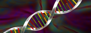 thumb image for Bioinformatics