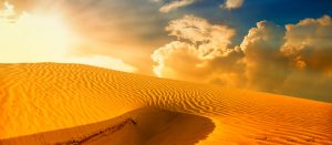 thumb image for Physical Geography