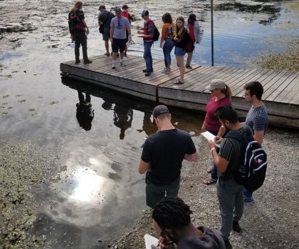 Environmental Science students completing work on a field course.