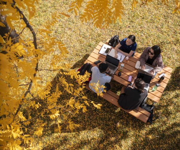 Students studying at a picnic table in the Academic Quad in the fall.