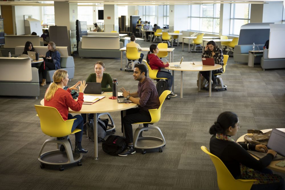 Students in the library