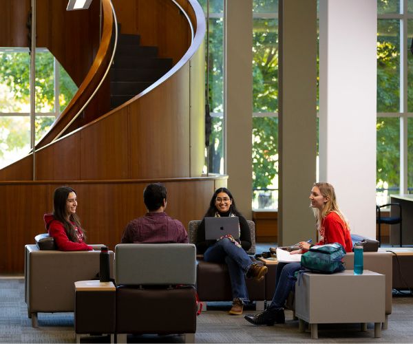 Students sitting in chairs and working together in the lobby of the MacOdrum Library.