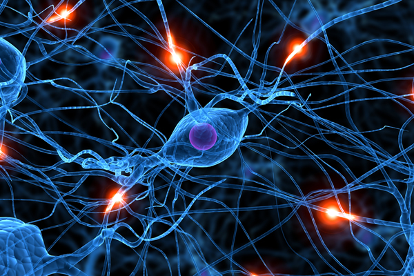 Learn more about: Neuroscience and Biology