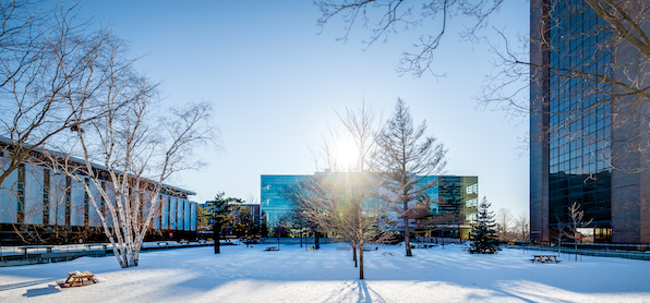 Carleton Academic Quad in winter, with snow and sunshine, facing the library