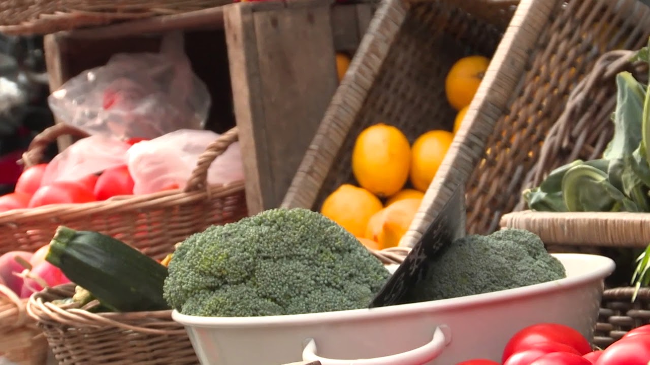 Watch Video: Food Science