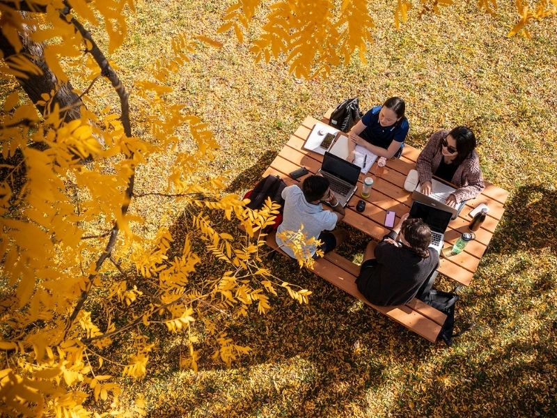 Four students working at a picnic table in the Academic Quad.