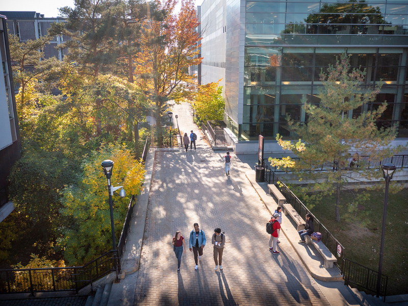 Students walking outside on campus in the fall